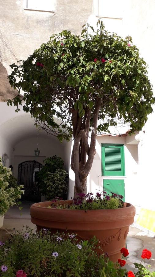 Hotel Civico13 Capri Exterior foto